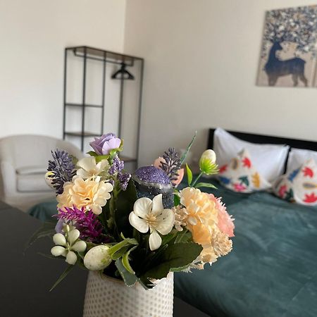 גורה הומורולווי Apartament A&A מראה חיצוני תמונה